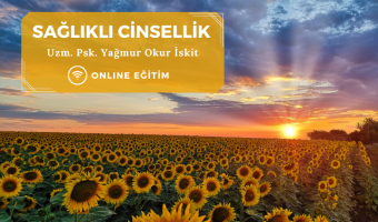 Eğitim kapak görseli websitesi