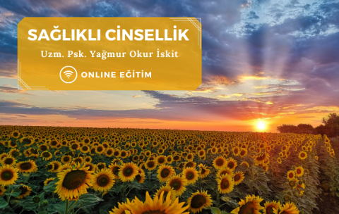 Eğitim kapak görseli websitesi